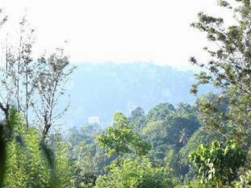 Villa Shenandoah image 7